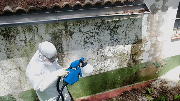 Trusted Bathroom Mold Removal service in New Windsor, MD - Cheap Mold Removal